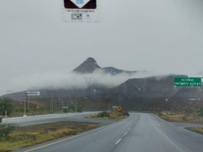 IMG-20250724-WA0050
