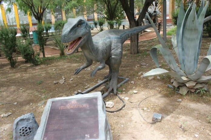 museojrz