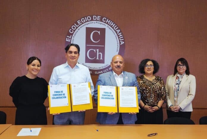 colech y recaudacion