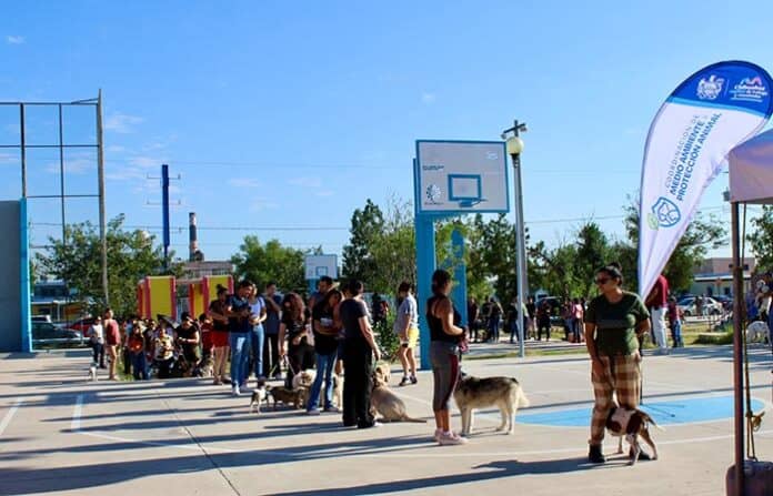 mascovilla