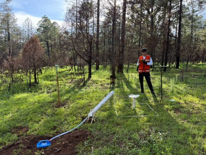 IMG-20250926-WA0027 Registración de infraestructura de monitoreo ambiental en un bosque para protección de recursos naturales en Chihuahua. Imagen de un técnico con equipo en un área forestal.