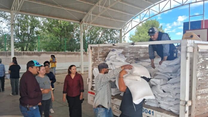 IMG-20250930-WA0091 Grúas de cemento entregando sacos en un camión en un evento comunitario en Chihuahua, promoviendo cooperación y desarrollo local.