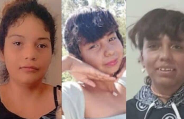 Niña con cabello rizado y expresión tranquila en primer plano, retrato deniño con peinado audaz y sonrisa en segundo plano, niño con cabello oscuro y dientes visibles en tercer plano, imágenes que reflejan diversidad y cultura en Chihuahua.