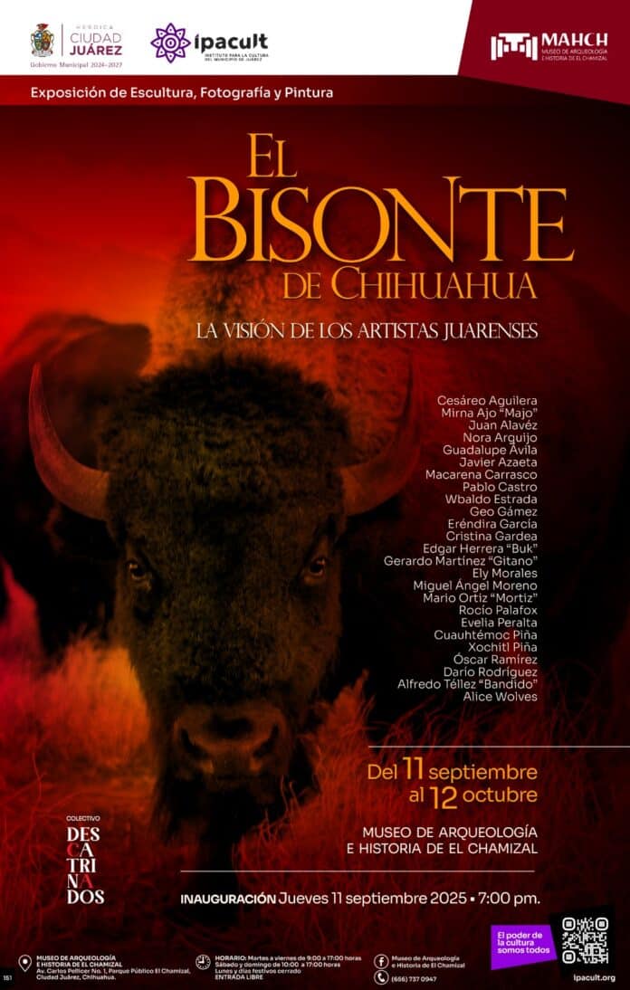 bisonte
