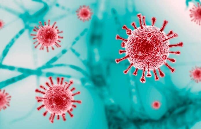 covid-19 Virus del COVID-19 en representación médica, imagen de microbios, salud pública, prevención y protección.