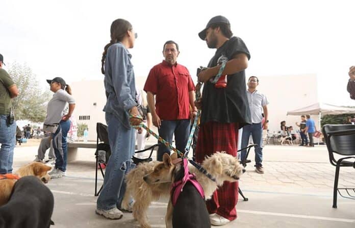 cruzsuperv Perro guía y dueños en evento de adopción de mascotas en Chihuahua, promoviendo bienestar animal y adopciones responsables.