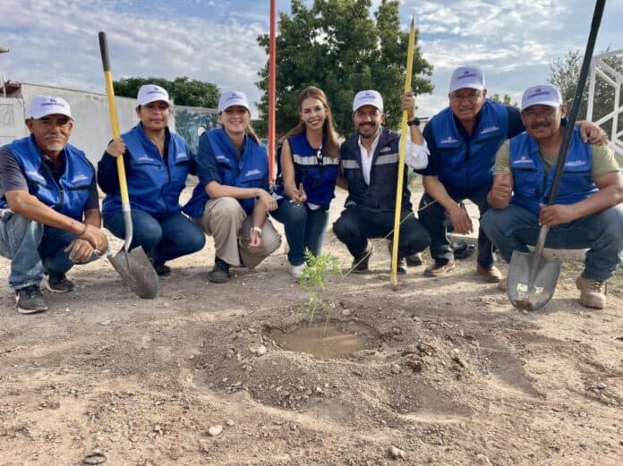 reforestacion juarez