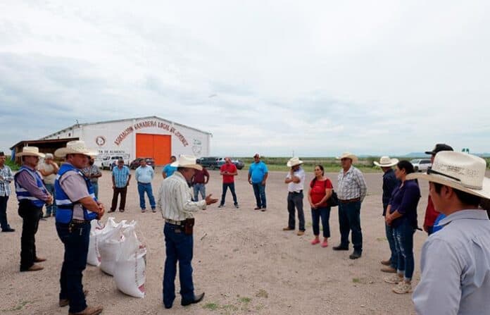 tonejimenez Campesinos y productores agrícolas de Chihuahua en reunión al aire libre, promoviendo el desarrollo agrícola local con apoyo de la asociación SAMADERA.