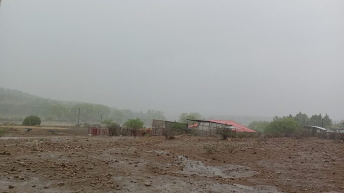Niebla en un campo árido con pocas plantas y estructuras de granero en Chihuahua, México, mostrando un clima seco y ventoso.