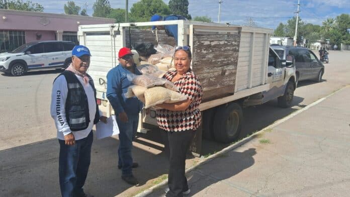 IMG-20251002-WA0018 Mujer entregando alimentos en un camión en Chihuahua, apoyo comunitario y distribución de víveres, imagen de solidaridad y ayuda social en la región.