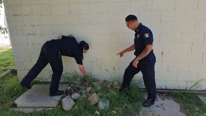 Policías revisando una pequeña zona con rocas y plantas cerca de una pared en un exterior de día.