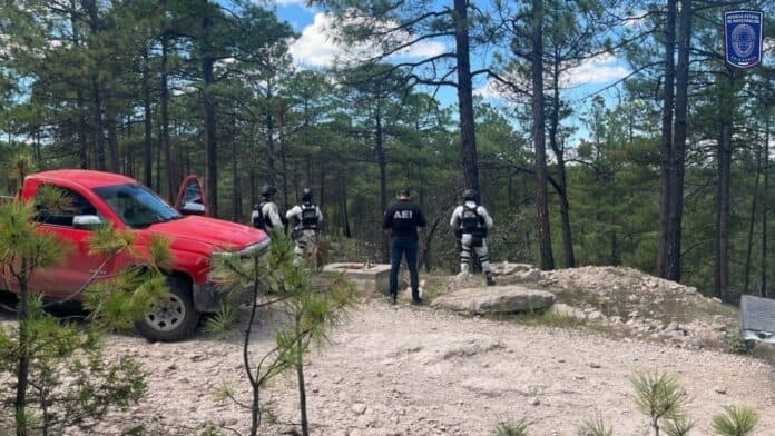 Vehículo de emergencia en zona forestal con personal de investigación y autoridades.
