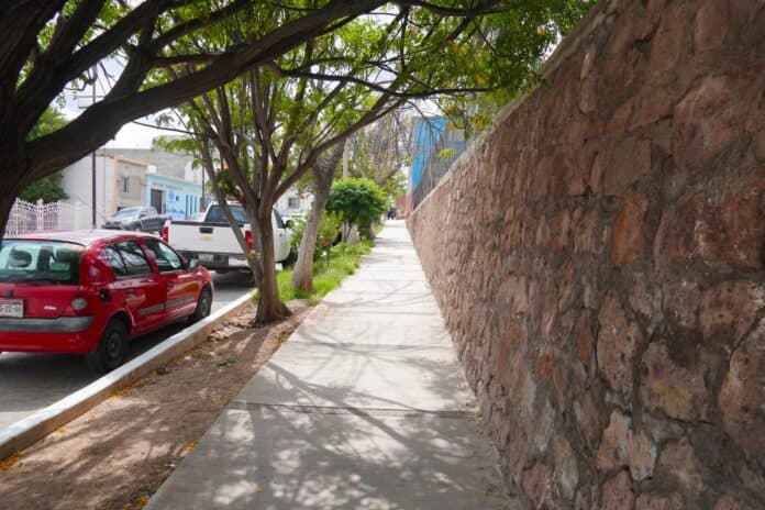 IMG-20251010-WA0010 Calle peatonal en Chihuahua, con árboles y muro de piedra, ambiente urbano, ideal para pasear, con coches estacionados y sombra natural, en una zona tranquila y residencial.
