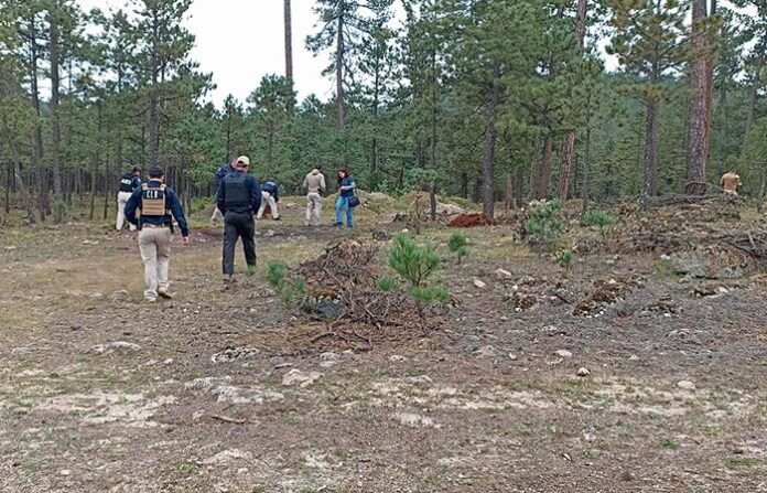 Hombres en uniformes de policía investigando en un bosque de Chihuahua, México, en una escena de búsqueda y seguridad en áreas naturales, relacionada con investigación y protección del medio ambiente.