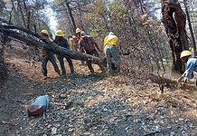Chihuahua, sexto lugar nacional en incendios forestales en nueve meses