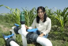 Agilizarán inscripción al programa de energía eléctrica para riego agrícola en 2026