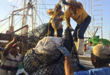 Del 10 de marzo al 25 de junio no se podrá pescar lobina en Chihuahua ni las siguientes especies en 11 estados de la república