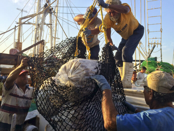 260226 AGRICULTURA CONAPESCA VEDAS-2