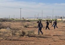 Brinda CEAVE acompañamiento a madres buscadoras en rastreo en Ávalos