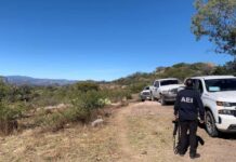 Continúan en estatus de desaparecidas y no localizadas 4 mil 98 personas durante más de medio siglo