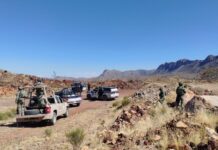 Localizan vehículos robados y campamento delictivo durante operativo en Ojinaga