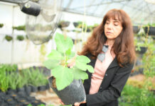 Recomiendan especialistas de la UACH cuidar jardines en primavera