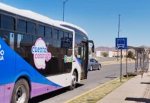 Suspenderá Bowí ruta universitaria por vacaciones de Semana Santa