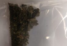 Detienen a hombre en posesión de marihuana en Cuauhtémoc