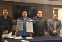 Promueve ONAPPAFA amparo para concluir trámites de regularización vehicular