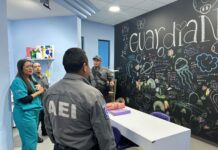 Conoce AEI modelo GuardiaNNA que brinda atención a víctimas de violencia sexual