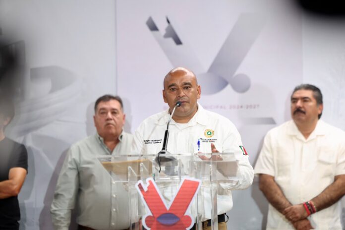 300 horas