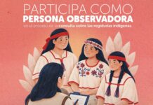 Lanza el IEE convocatoria para participar como observador en la Consulta sobre Regidurías Indígenas
