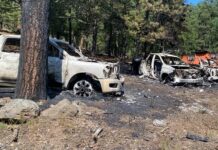 Incendian dos viviendas y nueve vehículos en Madera