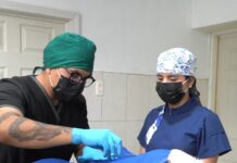 Hay campaña de esterilización permanente en CMACC