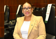 Fallece Anay Beltrán Reyes, diputada federal de Morena a los 45 años