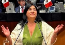 Desde el Senado respaldamos uso limitado de celulares en las escuelas: Guadalupe Chavira