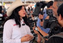 Busca PAN blindarse con fiscal carnal ante su inminente salida del Gobierno: Argüelles