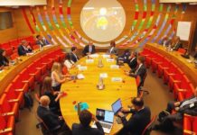 Participa académica de la FZyE-UACH en la Semana Forestal Mundial de la FAO en Roma, Italia