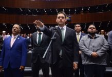 Asume Ruiz Olloqui diputación federal