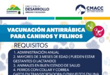 Exhortan a ciudadanos a vacunar mascotas contra la rabia