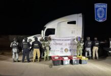 Aseguró célula BOII más de 100 kilos de cocaína en Álvaro Obregón