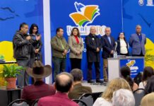 La Feria del Libro rompe récord de asistencia: más de 9 mil visitantes