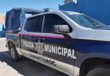 Seguridad Pública atiende reporte de robo a negocio en la Zona Centro