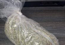 Policía municipal asegura presunta marihuana y una bicicleta