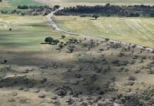 Recibe DR solicitudes para la construcción de presiones en ejidos