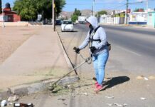 Recogen 229 toneladas de residuos en calles de la capital
