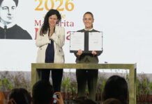 Obligan a plataformas digitales a proteger a menores de violencia