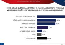 De la Peña, puntero del PAN por la Alcaldía: Massive Caller
