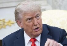 Trump remueve a su nueva secretaria de prensa, Katie Zacharia, a una semana de su nombramiento: NYT
